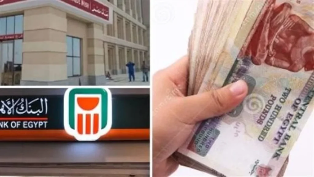 أرباح قياسية.. طريقة استثمار الأموال في الشهادة البلاتينية بعد قرارات البنك المركزي الأخيرة